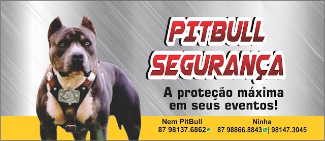 CONTRATE HOJE MESMO PITBULL SEGURANÇA - A PROTEÇÃO MÁXIMA EM SEUS EVENTOS!