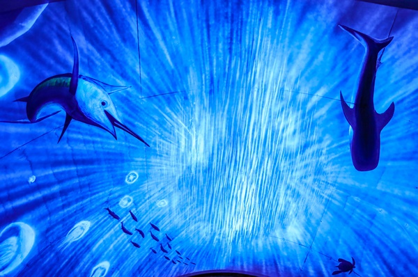 蘇東隧道~宜蘭蘇澳景點、3D彩繪海底世界