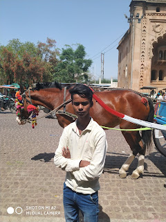 Mushahid Bhai horse in Lucknow Photo