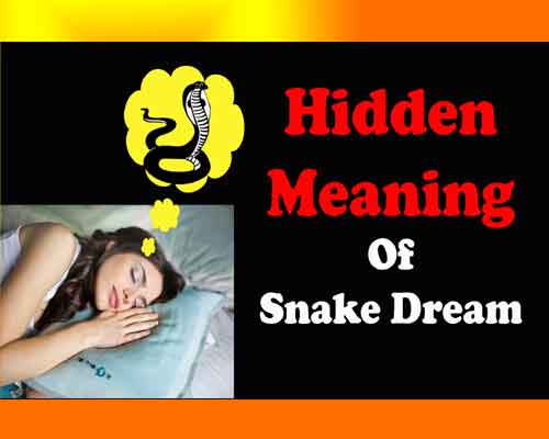 Dream Of Snake Meaning in Astrology