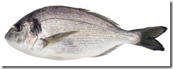 dorada