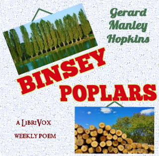 Binsey Poplars (Felled 1879) by G.M. Hopkins Summary & Analysis