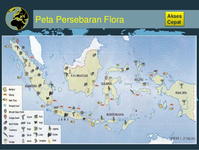  Gambar  Peta Indonesia Flora Koleksi Gambar  HD
