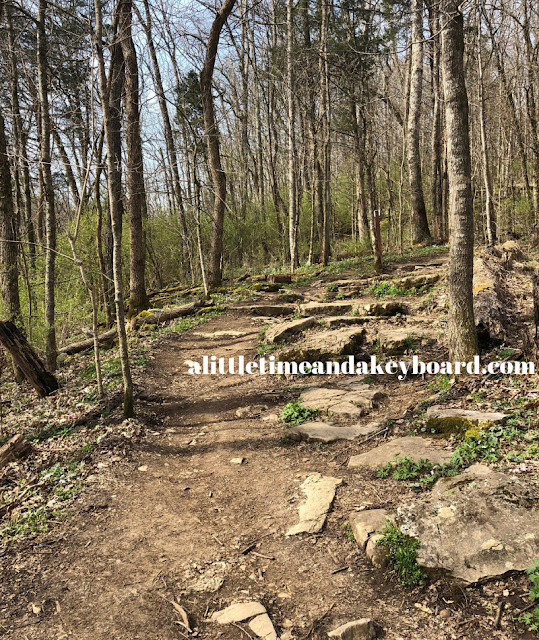 Slightly rocky path through the woods at Raven Run Nature Sanctuary in Lexington, Kentucky.