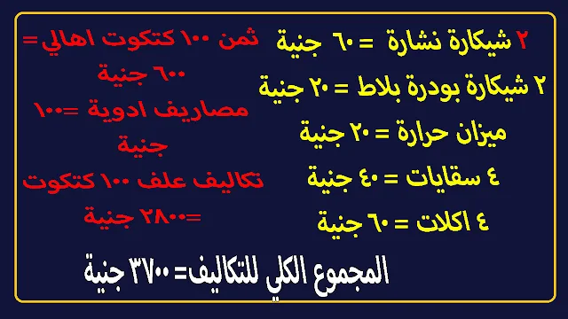 تربية الكتاكيت في المنزل" "تربية الدجاج في المنزل" "تربية الدجاج في المنزل pdf" "تربية الكتاكيت البيضاء في المنزل" "طريقة تربية الكتاكيت في المنزل" "كيف تربية الكتاكيت في المنزل" "كيفية تربية الكتاكيت في المنزل" "تربيه الكتاكيت البلدي في المنزل" "تربية الكتاكيت عمر يوم في المنزل" "تربية الكتاكيت في البيت" "تربية الكتكوت في المنزل" "تربية الكتاكيت بالمنزل" "تربية الدجاج في المنزل في المنام" "تربية دجاجة في المنزل" "تربية الدواجن في المنزل" "تربية الدواجن في المنزل pdf" "تربية الدجاج البياض في المنزل" "حكم تربية الدجاج في المنزل" "تربية الدجاج البلدي في المنزل" "تربية الدواجن في البيت" "تربية دجاج بلدي في المنزل" "تربية الدواجن بالمنزل" "تربية دواجن في المنزل" "تربية الدجاج pdf" "تربية الدواجن pdf" "تربية الفراخ البيضاء في المنزل" "مشروع تربية الفراخ البيضاء في المنزل" "كيفية تربية الكتاكيت البيضاء فى المنزل في الشتاء" "تربية الكتكوت" "تربيه الدواجن البيضاء في البيت" "تربية الدواجن البيضاء في المنزل" "طريقة تربية الدجاج في المنزل" "كيفية تربية الدجاج في المنزل" "طريقة تربية الفراخ الساسو في المنزل" "طريقة تربية الفراخ البيضه في المنزل" "طريقه تربيه الفراخ البلدي في المنزل" "طريقة تربية الدجاج البلدي في المنزل" "طريقة تربية الكتاكيت بالمنزل" "كيفية تربية الكتكوت في المنزل" "كيف تربي الدجاج في المنزل" "كيفية تربية الدجاج البياض في المنزل" "كيفية تربية الدجاج الابيض في المنزل" "كيفية تربية فراخ الدجاج في المنزل" "كيفية تربية الدجاج البلدي في المنزل" "كيفية تربية الكتاكيت فى المنزل" "تربيه الفراخ البلدي في المنزل" "تربيه الكتاكيت البلدي في البيت" "تربية الفراخ البلدي في البيت" "تربية الدجاج البلدي في البيت" "تربية الدجاج البلدي البياض في المنزل" "مشروع تربية الدجاج البلدي في المنزل" "تربية الكتكوت الابيض في المنزل" "تربية الكتاكيت البيضاء عمر يوم في المنزل" "تربية الكتاكيت عمر يوم" "تربية كتاكيت عمر يوم" "تربية الفراخ البيضة عمر يوم" "تربية الكتاكيت عمر اسبوع" "تربية الدجاج في البيت" "تربيه الكتاكيت البيضاء في البيت" "اضرار تربية الدجاج في البيت" "كيفية تربية الدجاج في البيت" "تربية الدجاج البياض في البيت" "فوائد تربية الدجاج في البيت" "تربية كتاكيت الدجاج" "تربية كتكوت الهبرد" "تربية الكتاكيت فى المنزل" "تربية الدجاج بالمنزل" "تربية الفراخ بالمنزل" "تربية الكتاكيت الصغيرة" "تربية الكتاكيت من اول يوم" "تربية الدجاج اللاحم في المنزل" "تربية الدجاج الابيض في المنزل" "فوائد تربية الدجاج في المنزل" "تربية الفراخ فى البيت" "كيف تربي الدجاج في البيت" "تربىة الفراخ" "مشروع تربية الدواجن في المنزل" "قانون تربية الدواجن في المنزل" "تربية الدواجن التسمين في المنزل" "تربية الدواجن في الجزائر" "تربية الدواجن في الجزائر pdf" "تربيه الدواجن في المنازل" "تربية الدجاج في الجزائر pdf" "تربية الدجاج اللاحم في الجزائر pdf" "تربية الدجاج البياض في الجزائر pdf"