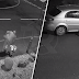 (Video) 'Tergamaknya hati owner...' Anjing dibuang di tepi jalan, merayu nak masuk semula ke dalam kereta