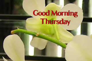 Good morning Thursday images