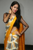 Lavanya Tripathi glam pics in saree-thumbnail-3