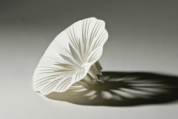 Richard Sweeney esculturas de papel formas geométricas fotografia luz sombras