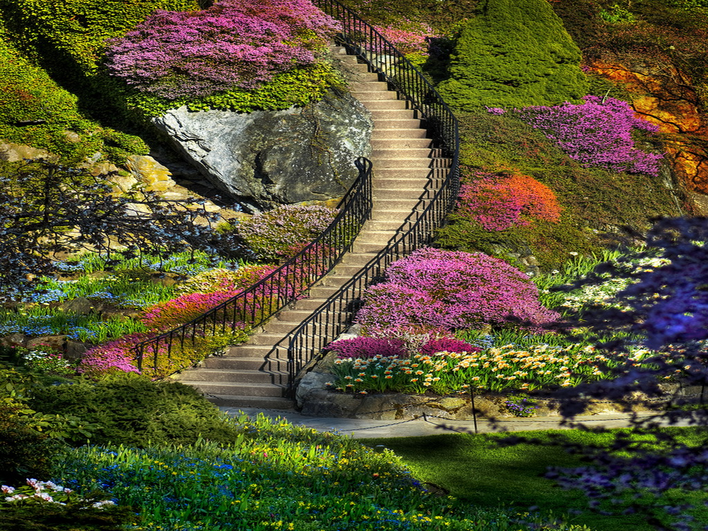 My Amazing Things Blog: Beautiful flower garden photos