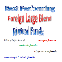 Top Performing Foreign Large Blend Mutual Funds 2013