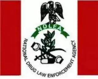 Wanted Drug Dealer Arrested By NDLEA In Imo State