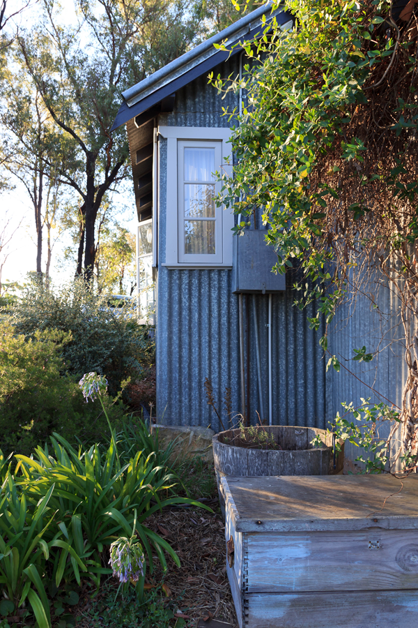 Mudgee, NSW - Wishful Thinking-43