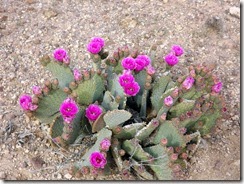 DSCF5714