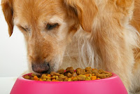 Dog Feeding Tips2