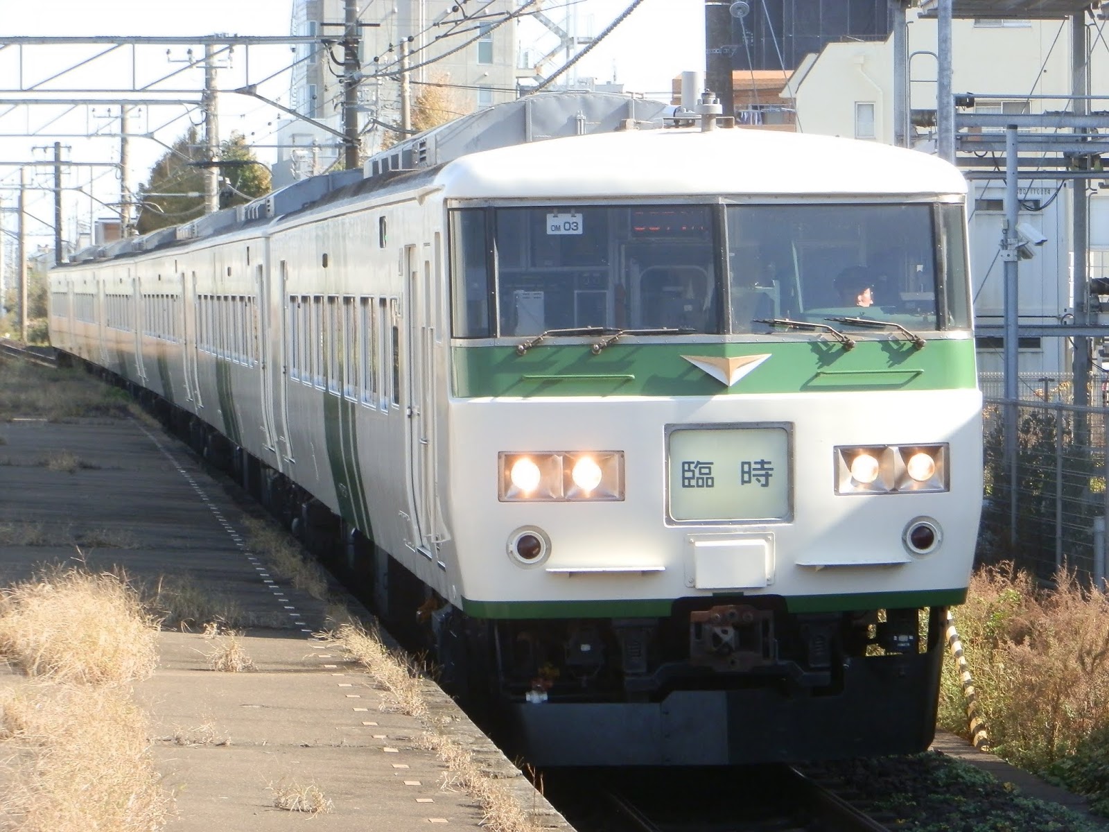 小田急沿線住み鉄道ファン日記 臨時運転 東日本旅客鉄道185系0番台による ホリデー快速あたみ号 運転