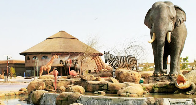 Dubai Zoo  | Safari in Dubai | Attractions