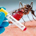 Casos de dengue em MT aumentam 158% neste ano e risco é considerado alto