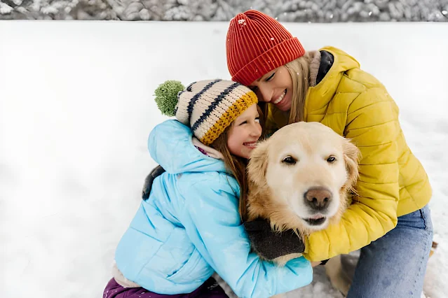 How dogs choose their favorite person: The 6 factors that matter most