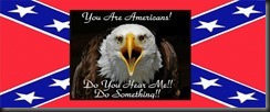 a rebel eagle