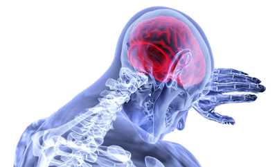 Brain Tumor Drugs Market Size, Share, Growth And Trends