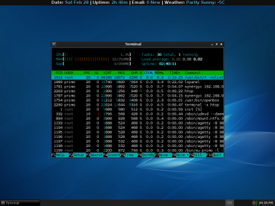 Htop Low Ram Screenshot