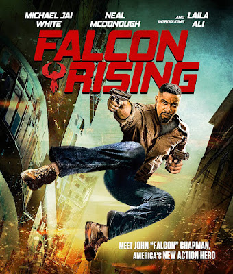 Falcon Rising 2014 Bluray