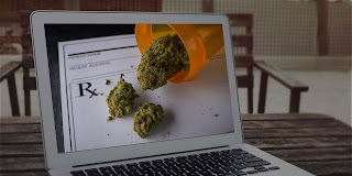 Marijuana courses online