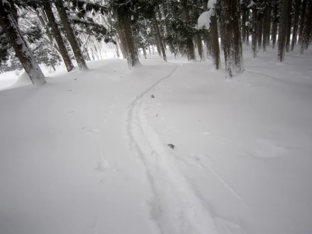 林道跡