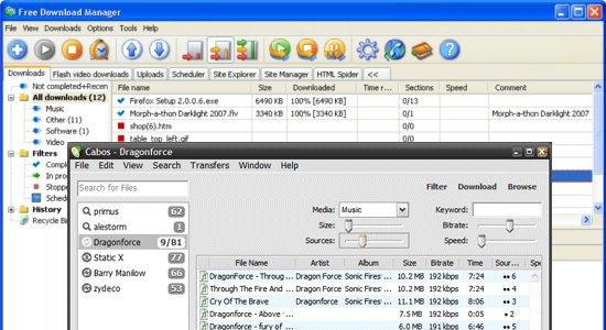 Free Download Manager