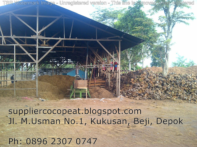 supplier cocopeat