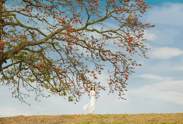 Nguyễn Ngọc Anh, Photo: Lê Xuân Bách