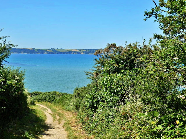 The footpath bewteen Par and Polkerris