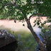 MONTEZUMA WELL