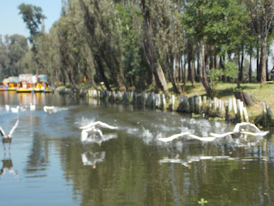 Canales de Xochimilco