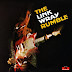 Link Wray - The Link Wray Rumble (1974 us fabulous rock - vinyl rip - wave)