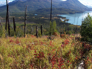 fall view