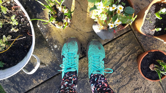 Project 366 2016 day 40 - 10 mile run day // 76sunflowers