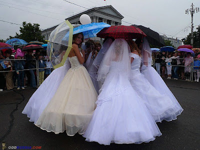 parade of brides