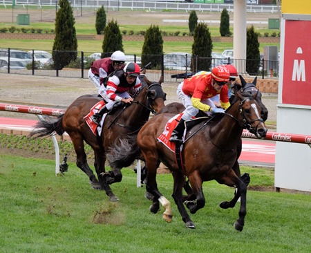 mcewen stakes_finish 