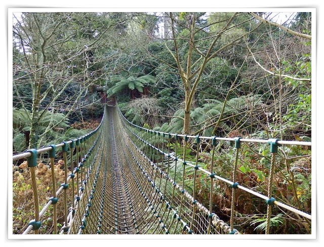 Rope Bridge in the jungle at Lost Gardens of Heligan, Cornwall