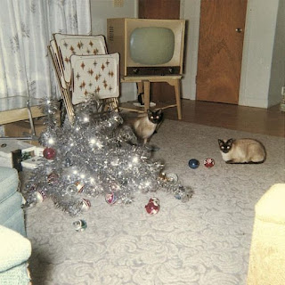 An aluminum tree lying in the middle of a room. There is a television, folding tray tables and two very guilty-looking cats.