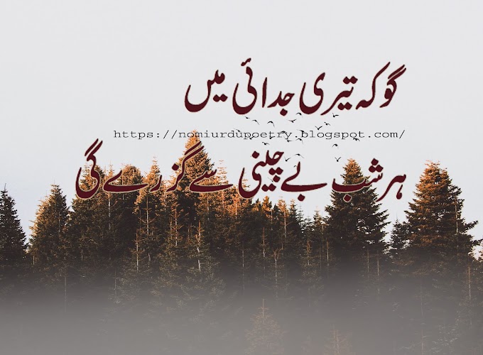 Sad 😒 Poetry || Nomi Urdu Poetry😍 || Heart😞💔 Touching Poetry