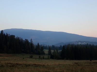 grzyby 2018, grzyby we wrześniu, borowiki szlachetne, borowiki ceglastopore, muchomory czerwone