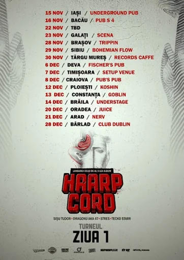 concerte-haarp-cord