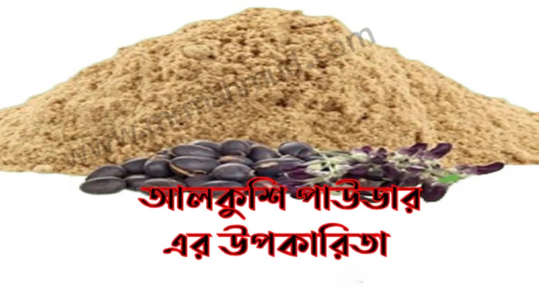 ছবি
