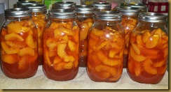 canning01