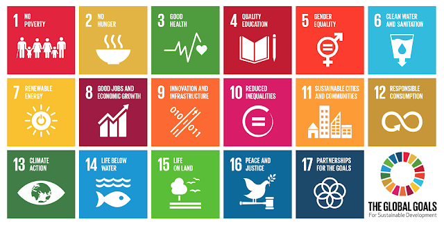 17 sustainable development goals for 2030