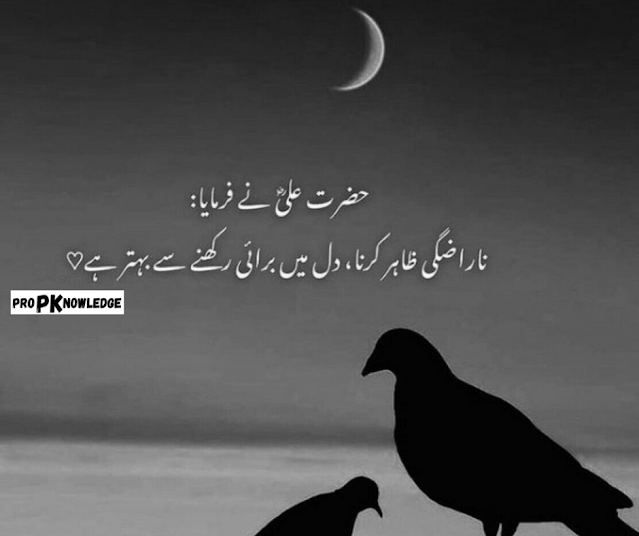 Heart Broken Sad Poetry In Urdu 2022