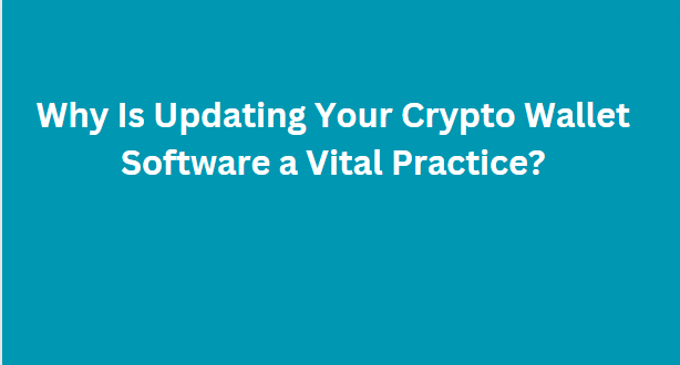 Why Is Updating Your Crypto Wallet Software a Vital Practice?